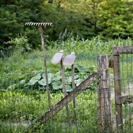 阿尔法齐诺修道院酒店 酒店 3*